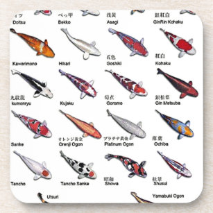 コイカラフル魚錦鯉スケッチの品種 コースター