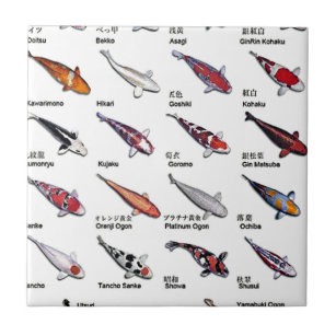 コイカラフル魚錦鯉スケッチの品種 タイル