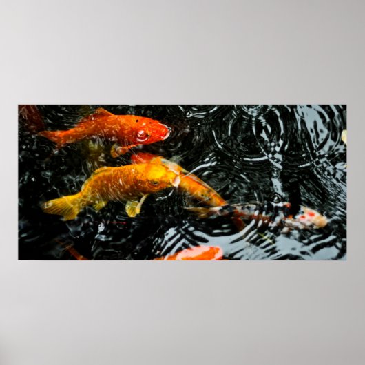 コイカラフル魚 | Chengdu ポスター (正面)