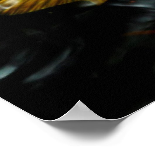 コイカラフル魚 | Chengdu ポスター (角)