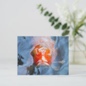 コイカープ(Cyprinus carpio), Japan ポストカード (スタンド正面)