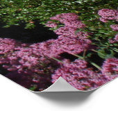 コイトタワーサンフランシスコ ポスター (角)