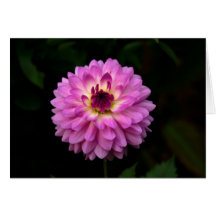 コイノニア「道の交わり」