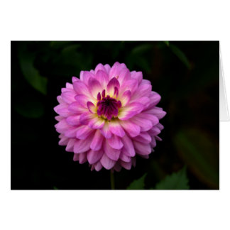 コイノニア「道の交わり」