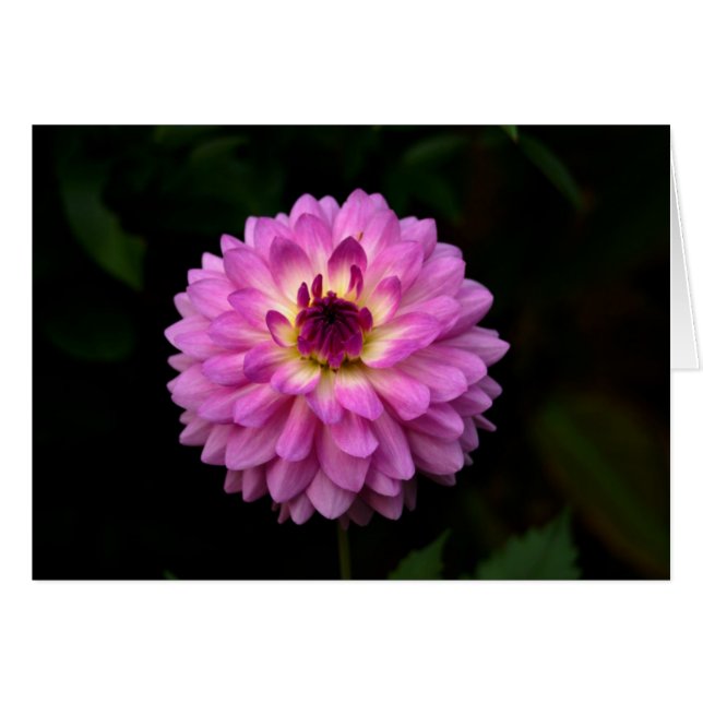 コイノニア「道の交わり」 (正面横)