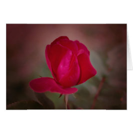 コイノニア「道の交わり」