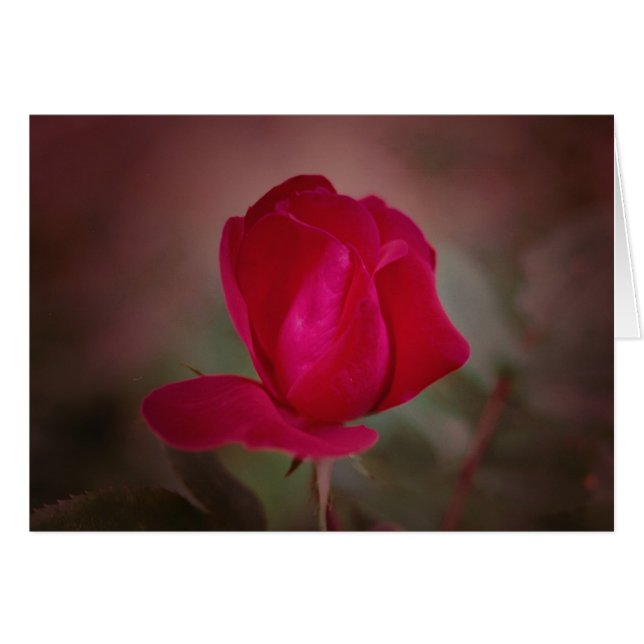 コイノニア「道の交わり」 (正面横)