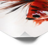 コイハーフムーンベッタフィッシュ フォトプリント            (角)