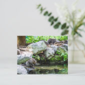 コイプス葉書 ポストカード (スタンド正面)