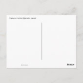 コイプス葉書 ポストカード (裏面)