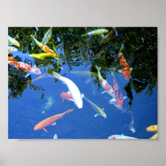 コイポスター ポスター