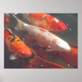 コイポスター ポスター (正面)