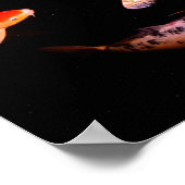 コイポスター ポスター (角)