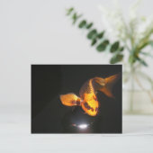 コイポストカード未切り取り ポストカード (スタンド正面)