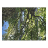 コイポンドイン中国のガーデン テーブルクロス (正面(横))