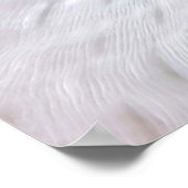 コイリペピエンフィッシュII ポスター (角)