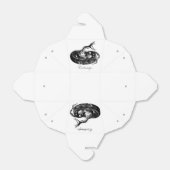 コイル状ラトルズナケサンダー_コーブ フェイバーボックス (折り畳みなし)