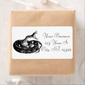 コイル状ラトルズナケサンダー_コーブ ラベル (インサイチュ)