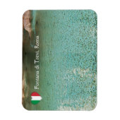 コインズイントレヴィ泉-イタリア,ローマ マグネット (縦)