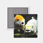 コイ撮影 マグネット (正面/裏面)