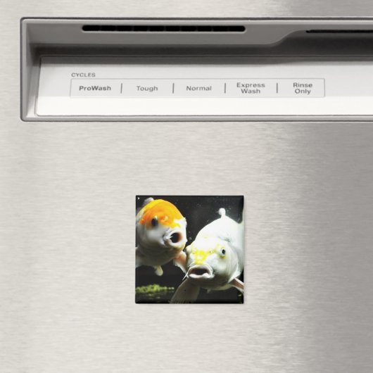 コイ撮影 マグネット (インサイチュ (食洗機))