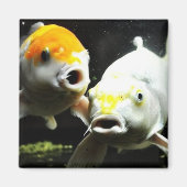 コイ撮影 マグネット (正面)