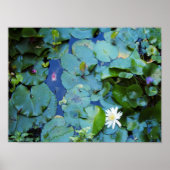 コイ池ポスター ポスター (正面)