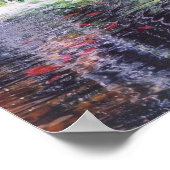 コイ池ポスター ポスター (角)