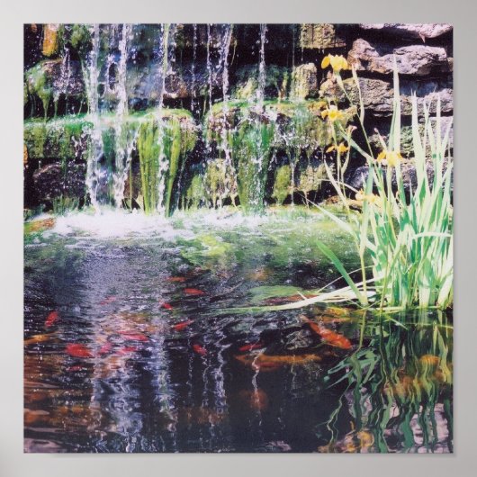 コイ池ポスター ポスター (正面)