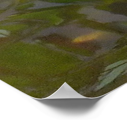 コイ池ポスター ポスター (角)