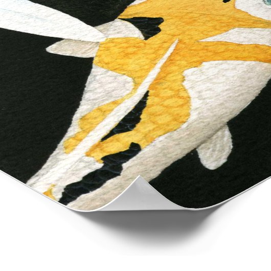 コイ池 ポスター (角)