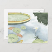 コイ池 – 魚とユリの反射 ポストカード (正面/裏面)
