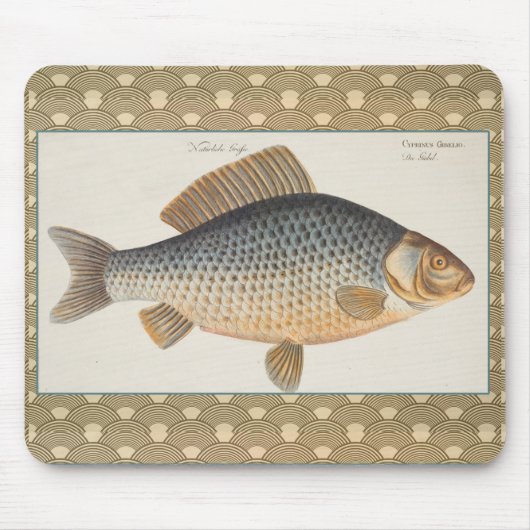 コイ釣り絵画淡水魚の描画 マウスパッド (正面)