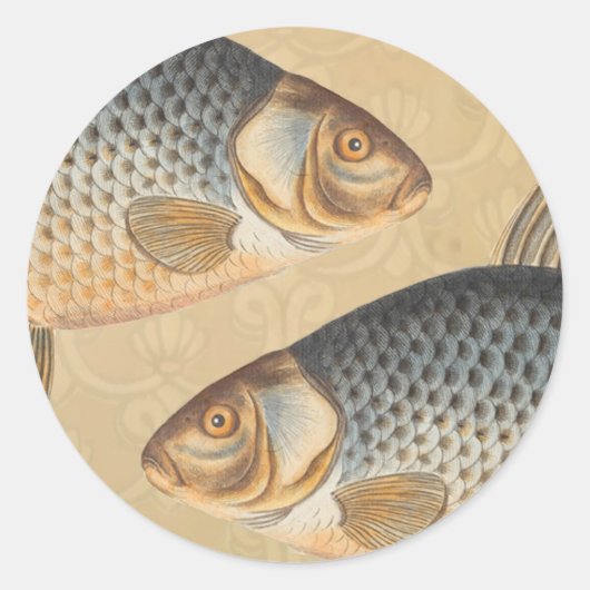 コイ釣り絵画淡水魚の描画 ラウンドシール (正面)