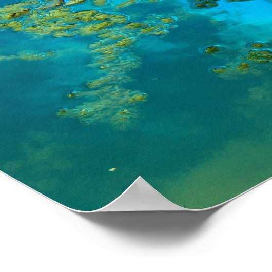 コイ青 ポスター (角)