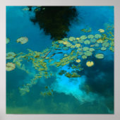 コイ青 ポスター (正面)