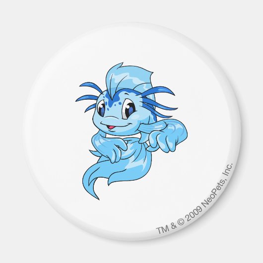 コイ青 マグネット (正面)