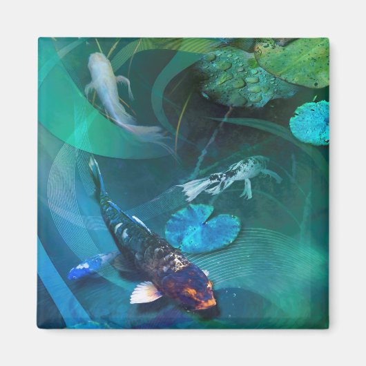 コイ魚の喜びコイ マグネット (正面)