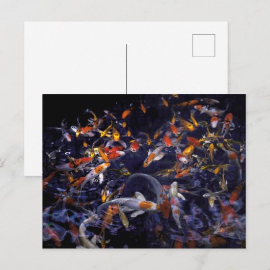 コイ魚の流れ ポストカード (正面/裏面)