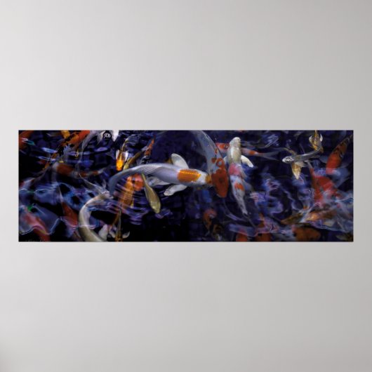 コイ魚の流れ#2 ポスター (正面)