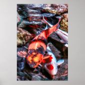 コイ魚二重奏 ポスター (正面)