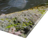 コイ魚 カッティングボード (角)