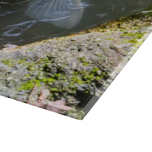 コイ魚 カッティングボード (角)