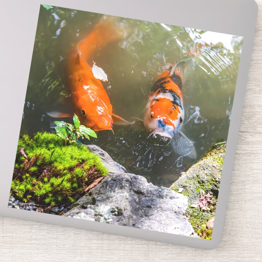 コイ魚 シール (詳細)