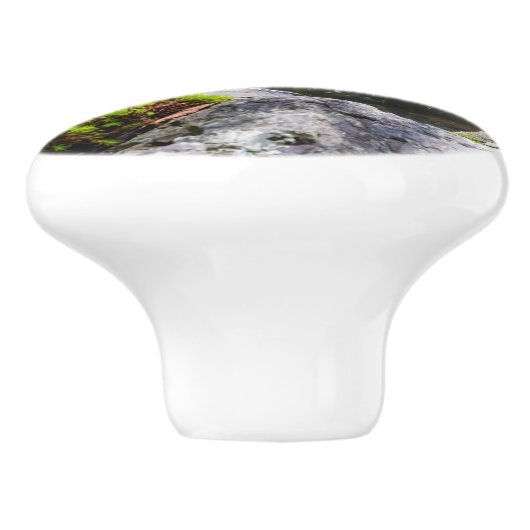 コイ魚 セラミックノブ (側面)