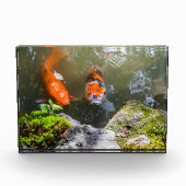 コイ魚 フォトブロック (正面)