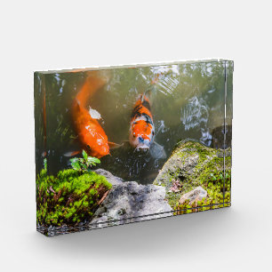 コイ魚 フォトブロック