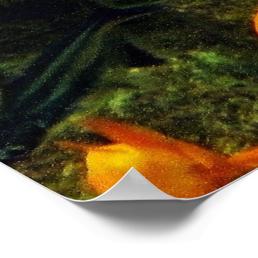 コイ魚 ポスター (角)