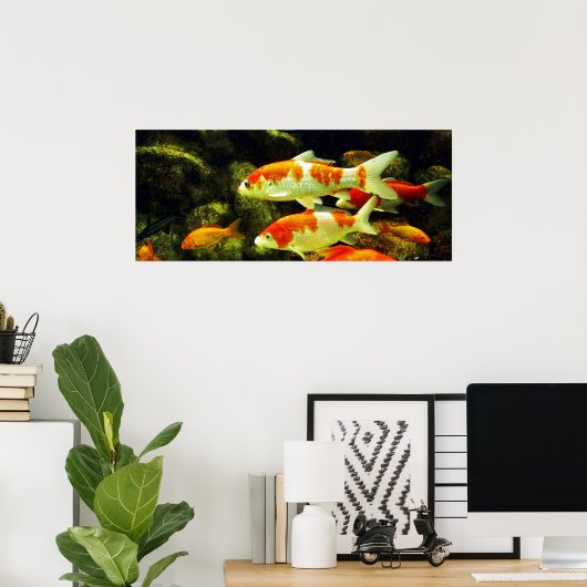 コイ魚 ポスター (ホームオフィス)