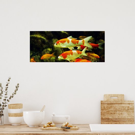 コイ魚 ポスター (キッチン)